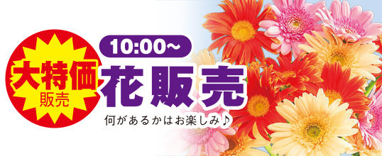 札幌市手稲区で葬儀をご検討なら家族葬のディアネスへ！「感謝祭」開催