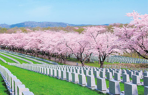  戸田記念墓地公園のイメージ画像