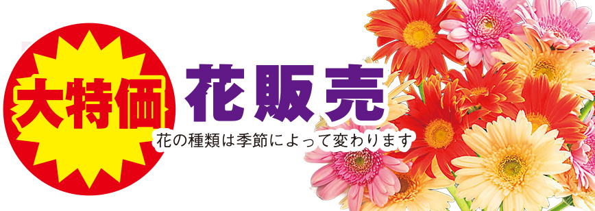 札幌市手稲区で葬儀・家族葬をご検討なら家族葬のディアネスへ!イベント開催中!ご相談もお気軽にご来館ください。
