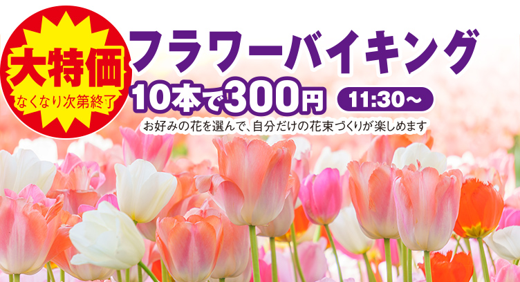 札幌市東区で葬儀・家族葬をご検討なら家族葬のディアネスへ